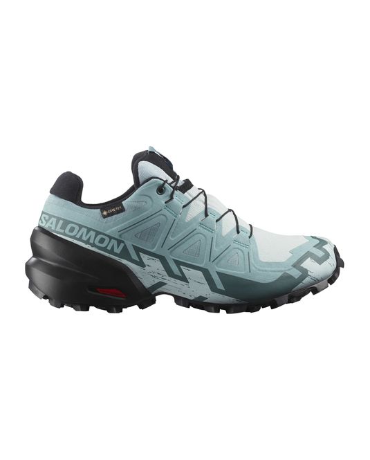 Hovedbilde Speedcross 6 GTX W Ballad ...
