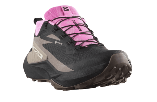 Hovedbilde Salomon GENESIS GTX W ...