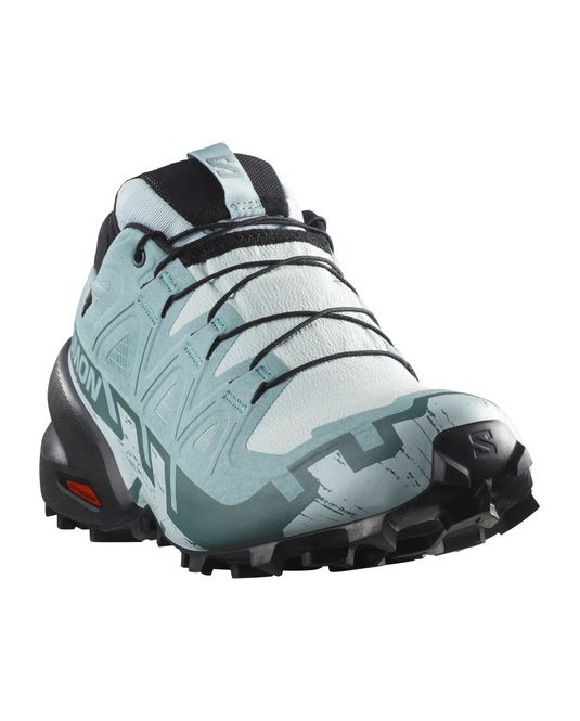 Hovedbilde Speedcross 6 GTX W Ballad ...