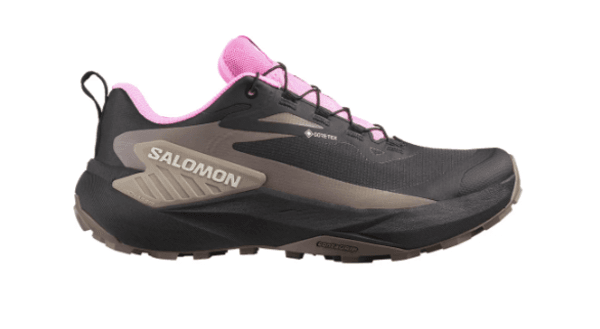Main Image Salomon GENESIS GTX W ...